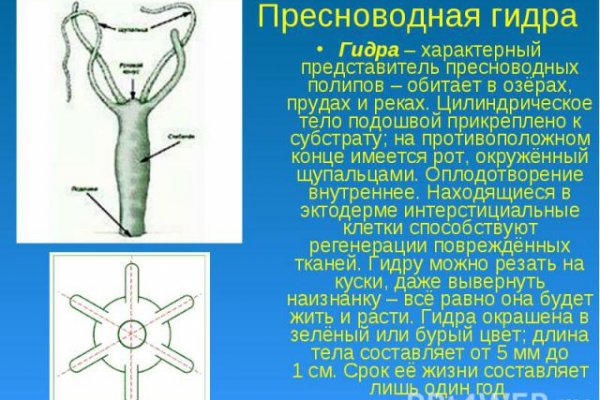 Кракен сайт продаж