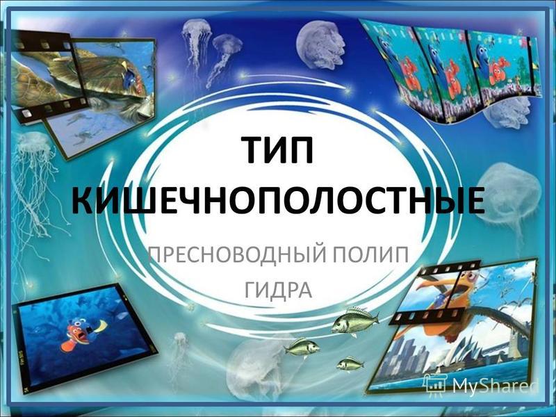 Как найти актуальную ссылку на кракен
